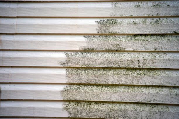 Best Attic Cleanout  in Sutter Creek, CA
